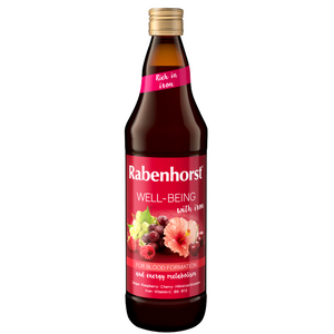 Bien-être Rabenhorst avec du fer 6 x 750 ml